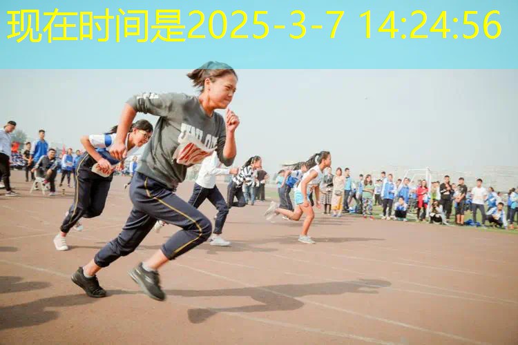 ayx·爱游戏：网球拍哪款限定款不错好用