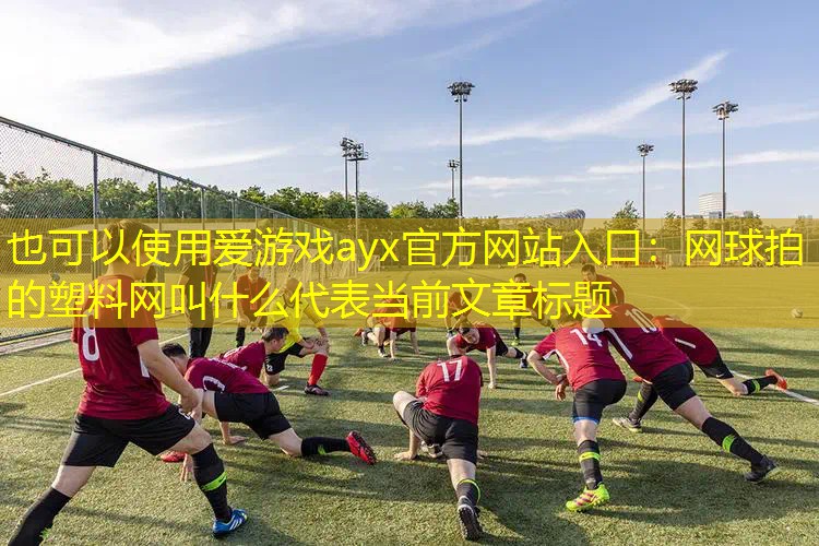 爱游戏ayx官方网站入口：网球拍的塑料网叫什么
