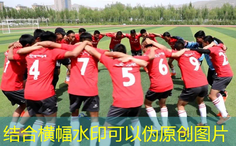 大自然中的乐园，室外儿童体育器材大放异彩