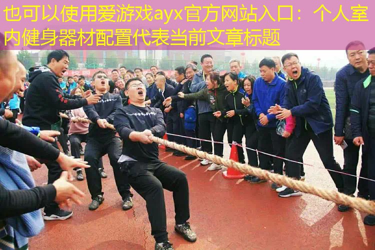 爱游戏ayx官方网站入口：个人室内健身器材配置