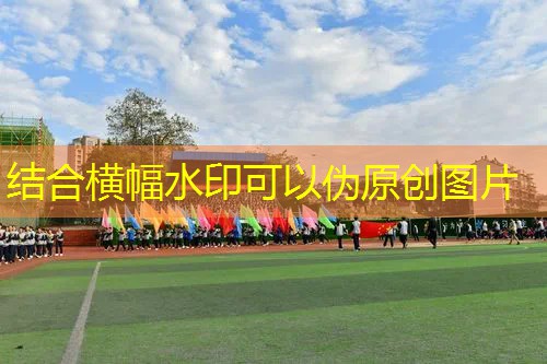 ayx爱游戏公司：标准桌球台乒乓球台二合一