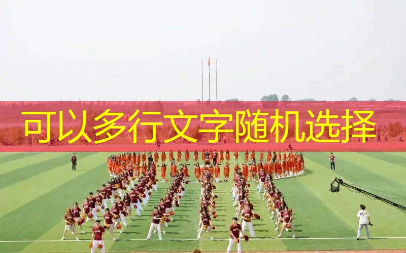 成人篮球障碍物训练器材