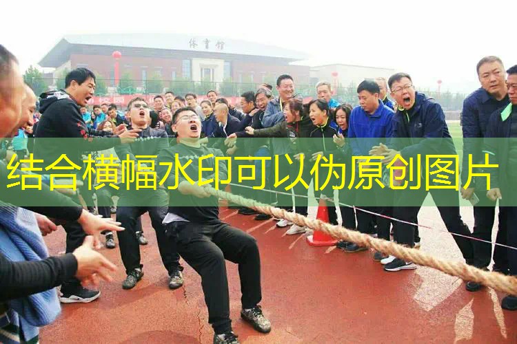 ayx·爱游戏：乒乓球台手工作品