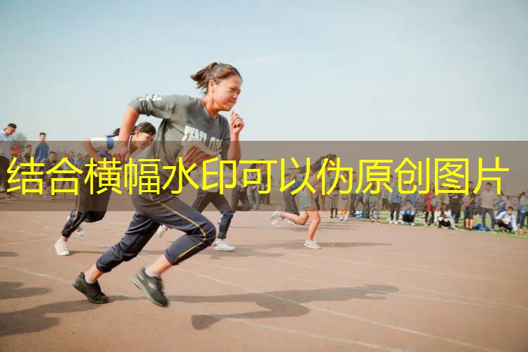 爱游戏ayx官方全站：乒乓球台打球器怎么用