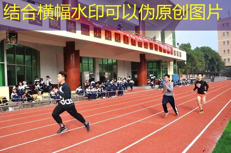 <strong>爱游戏中国官方网站：室内健身国际标准规范</strong>