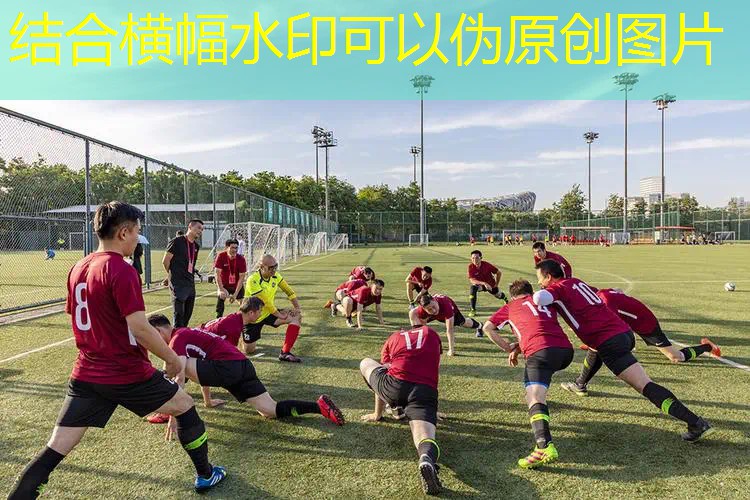 女士进阶网球拍怎么选尺码 女士进阶网球拍怎么选尺码