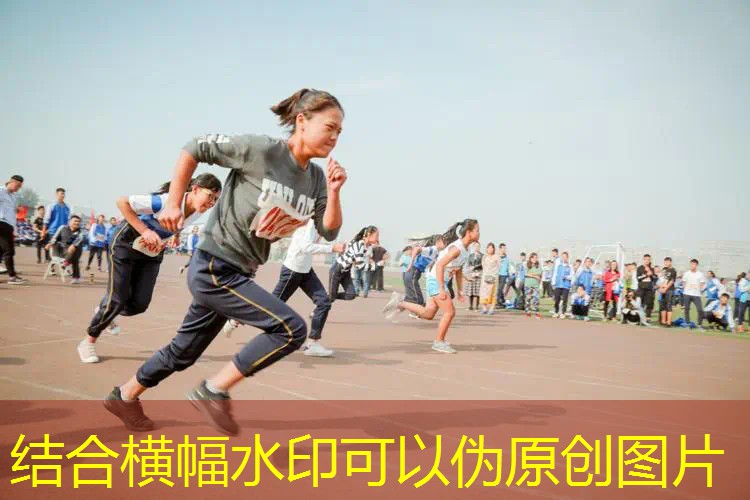 网球拍多少块一副合适 网球拍多少块一副合适