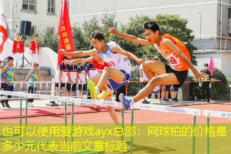 网球拍的价格是多少元 网球拍的价格是多少元