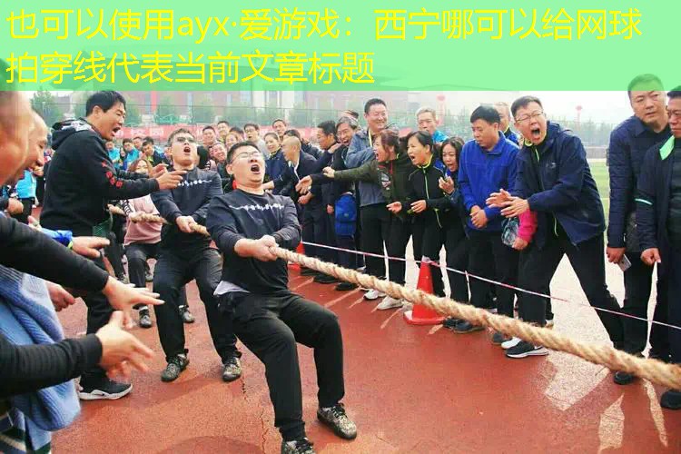 西宁哪可以给网球拍穿线 西宁哪可以给网球拍穿线