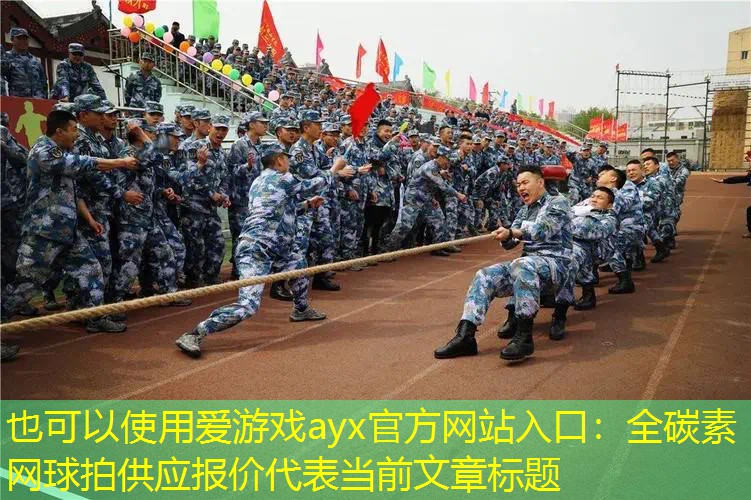 全碳素网球拍供应报价