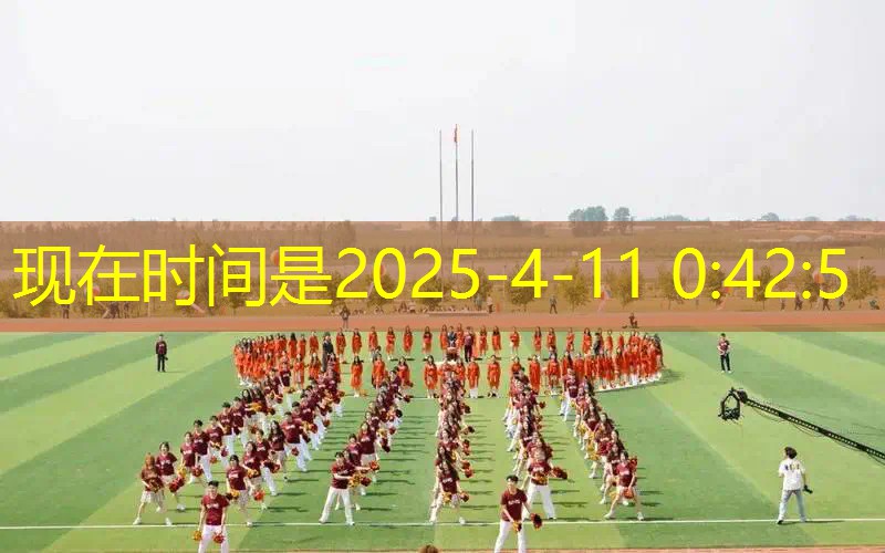 百保力成人网球拍