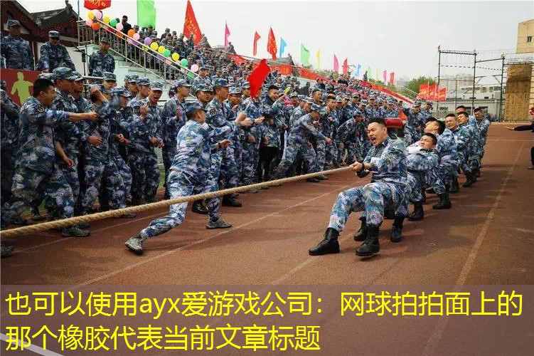网球拍拍面上的那个橡胶 网球拍拍面上的那个橡胶