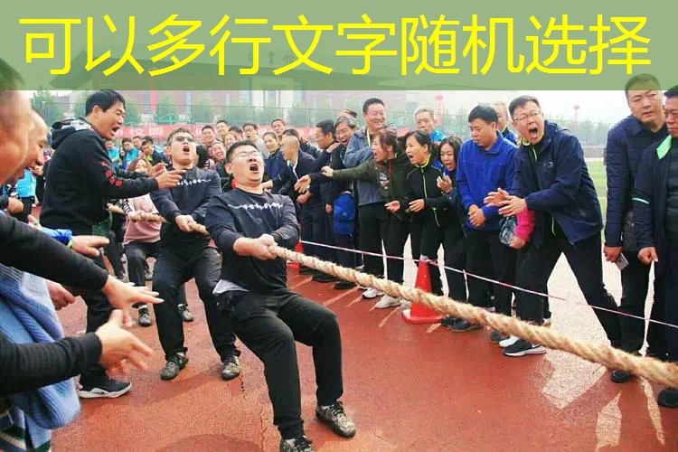 百元网球拍性价比之王