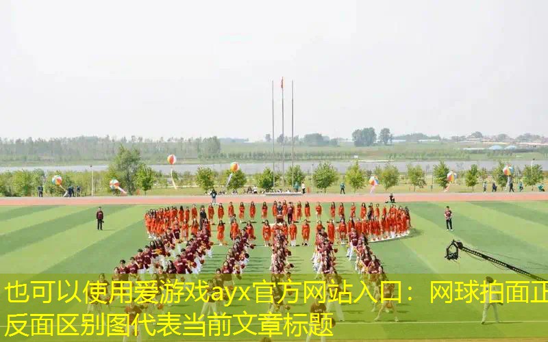 网球拍面正反面区别图