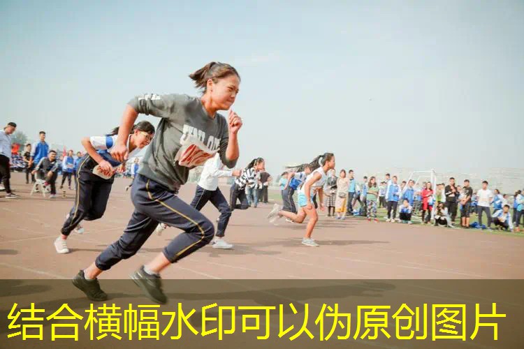 网球拍的避雷器叫什么