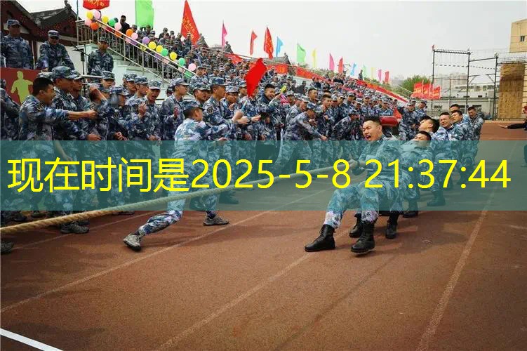 王子网球拍初学款式选择