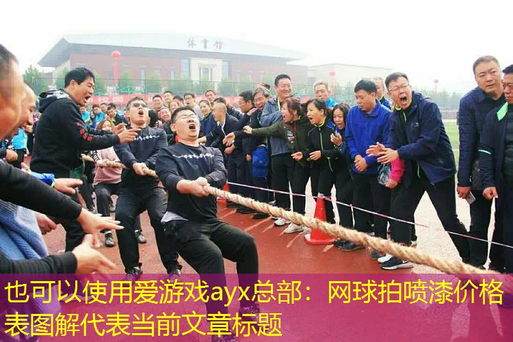 网球拍喷漆价格表图解 网球拍喷漆价格表图解