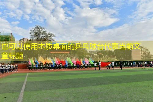 木质桌面的乒乓球台 木质桌面的乒乓球台