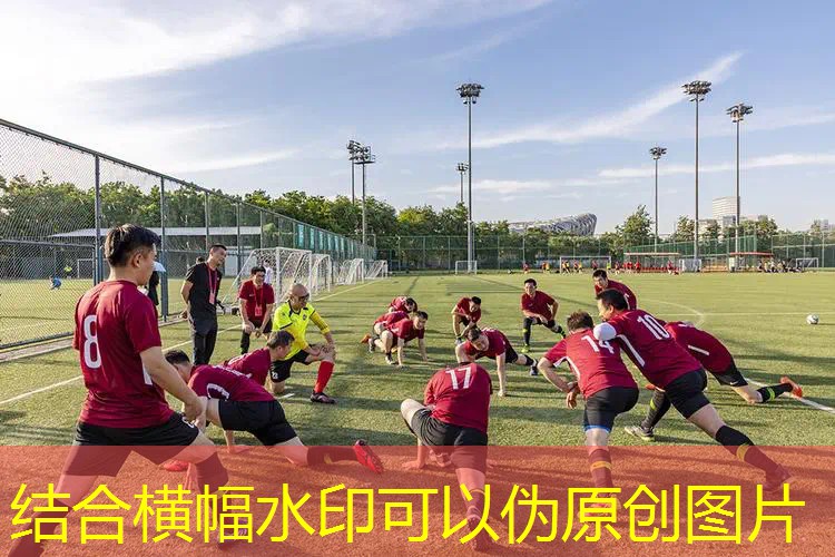 欧美篮球训练器材 欧美篮球训练器材