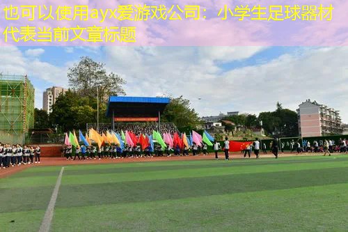 小学生足球器材 小学生足球器材