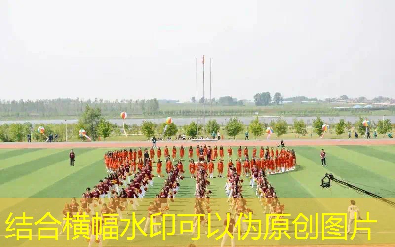 新技术引领时代潮流,自动化修剪草坪正当红! 新技术引领时代潮流,自动化修剪草坪正当红!