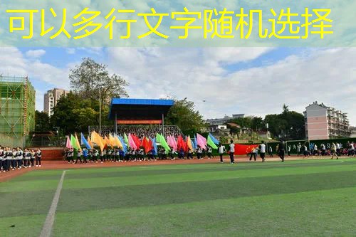 标准桌球台乒乓球台二合一 标准桌球台乒乓球台二合一