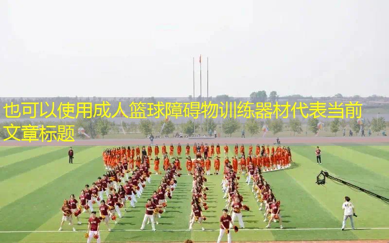 成人篮球障碍物训练器材 成人篮球障碍物训练器材