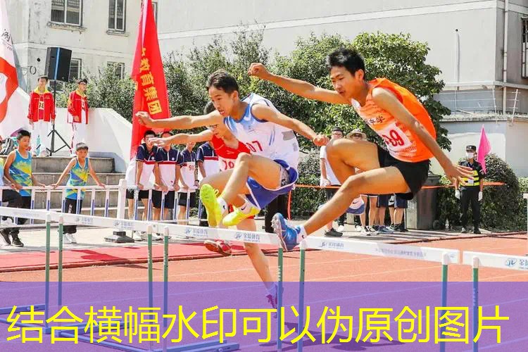 篮球室内训练器材垫子推荐